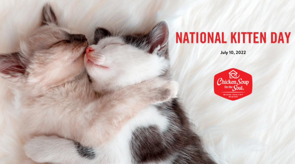It's National Kitten Day! Chicken Soup for the Soul Pet Food
